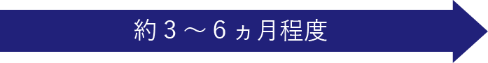 約3～6ヵ月程度