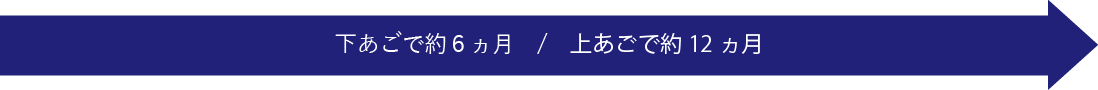 下あごで約6ヵ月/上あごで約12ヵ月