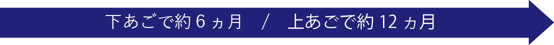 下あごで約6ヵ月/上あごで約12ヵ月